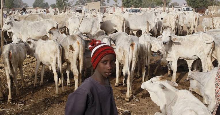 Fulani Herdsmen